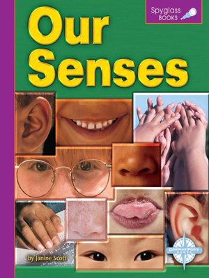 cover image of Our Senses